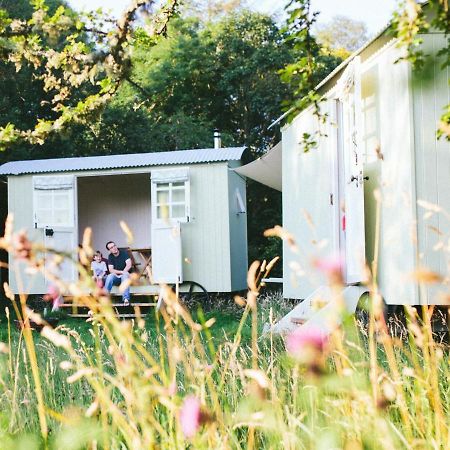 Snowdonia Shepherds' Huts Conwy Kültér fotó
