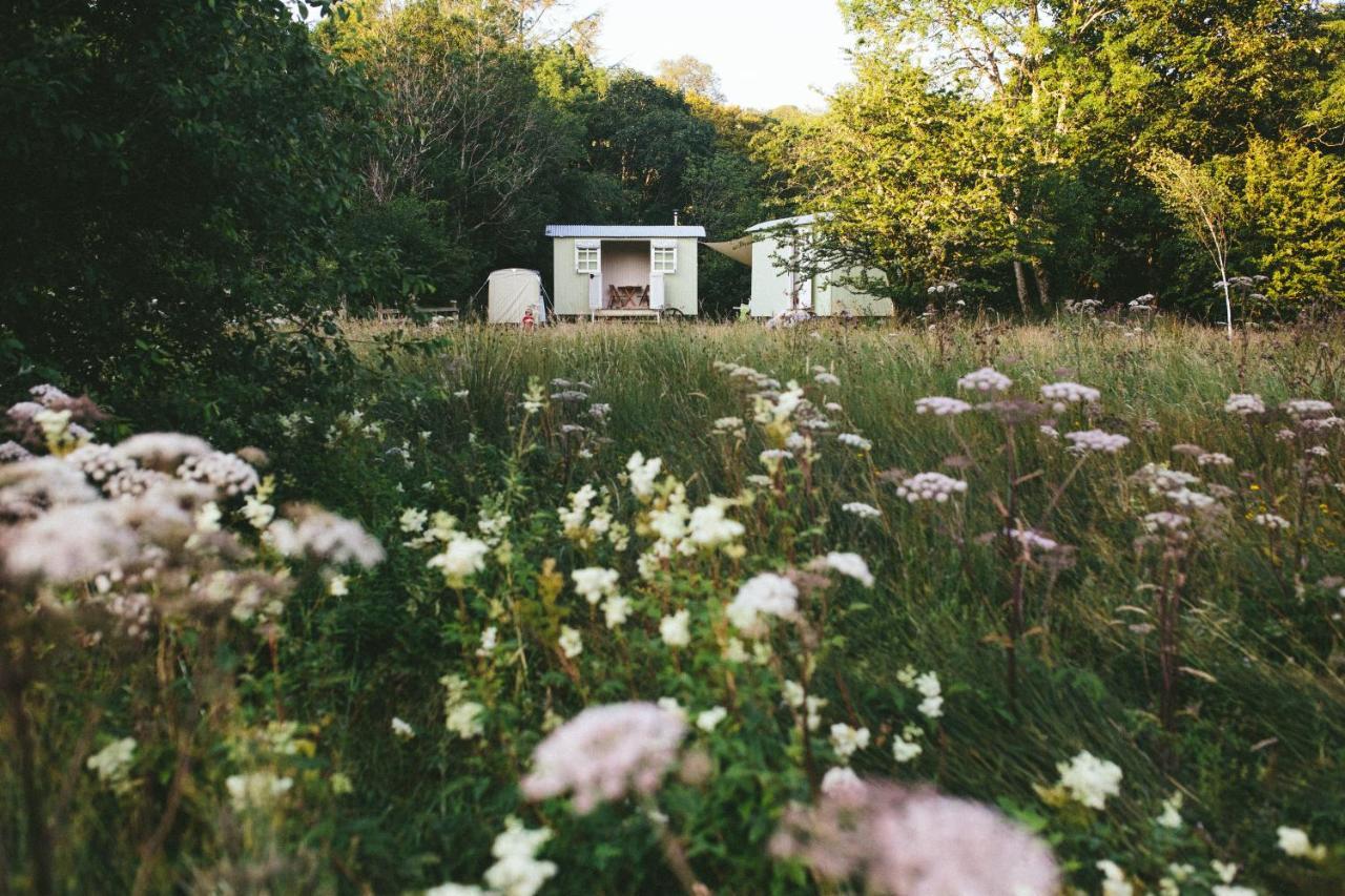 Snowdonia Shepherds' Huts Conwy Kültér fotó
