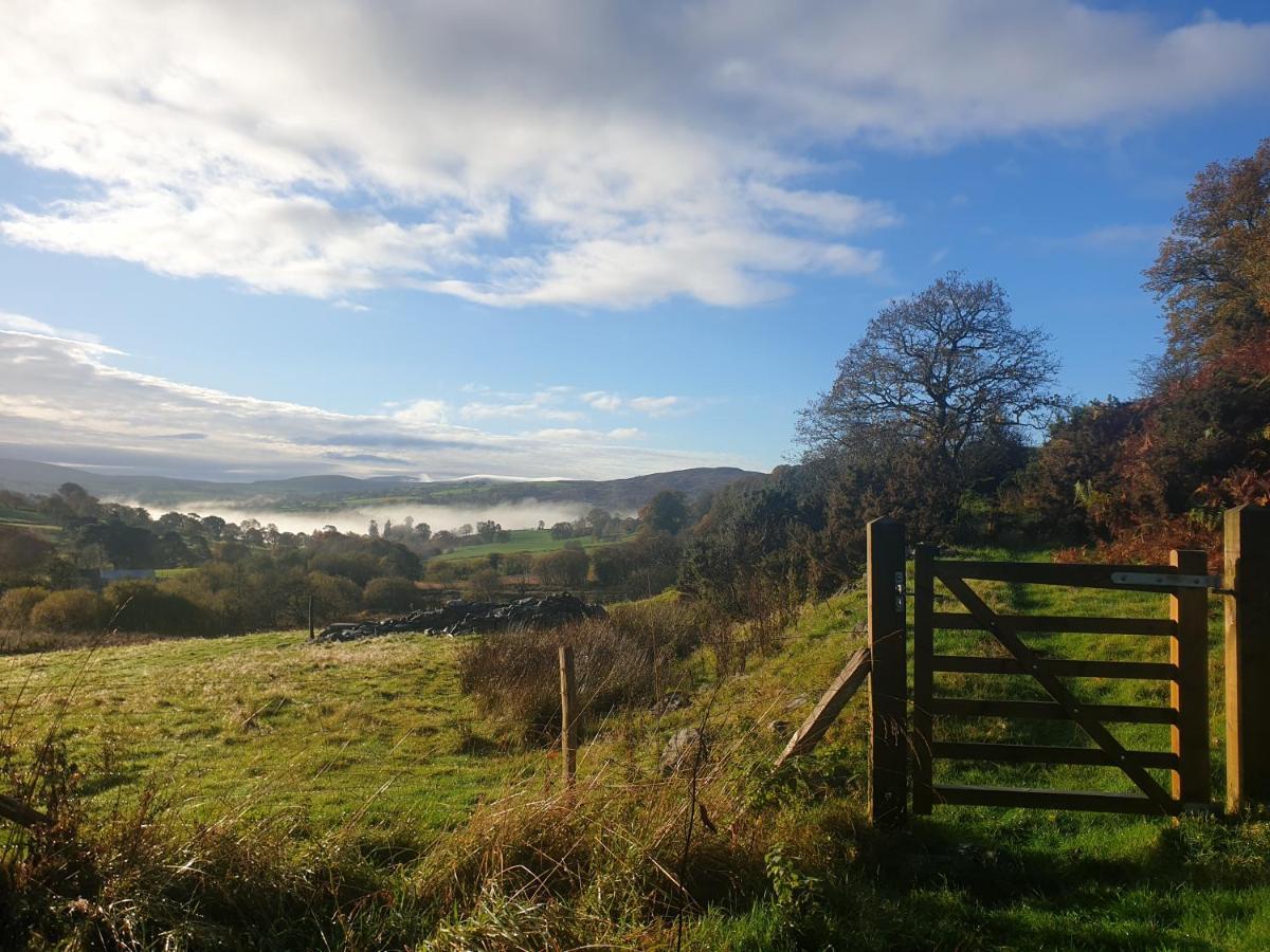 Snowdonia Shepherds' Huts Conwy Kültér fotó