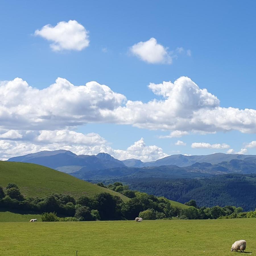 Snowdonia Shepherds' Huts Conwy Kültér fotó